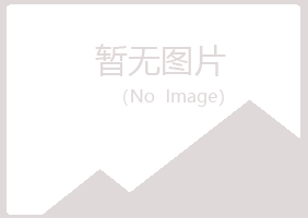 攸县夏槐水泥有限公司